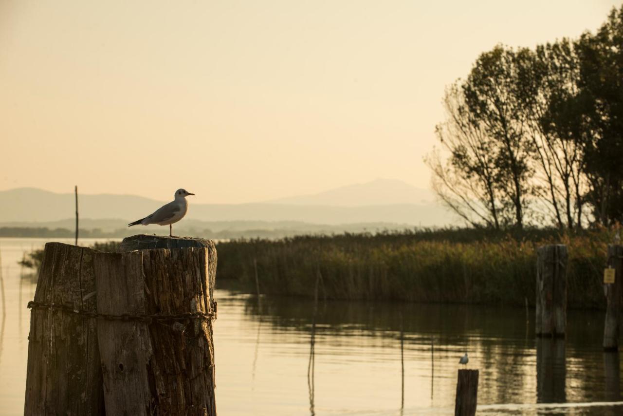 Isola Polvese Resort Castiglione del Lago Buitenkant foto